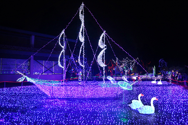 观音山梦幻灯光节浪漫开启 3000万盏灯点亮迎