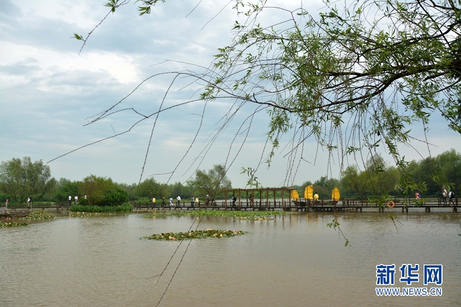 广州南沙春季生态美 引外国友人来游览