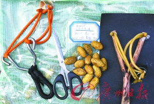 广东打掉201个 碰瓷 犯罪团伙 嫌疑人不乏00后