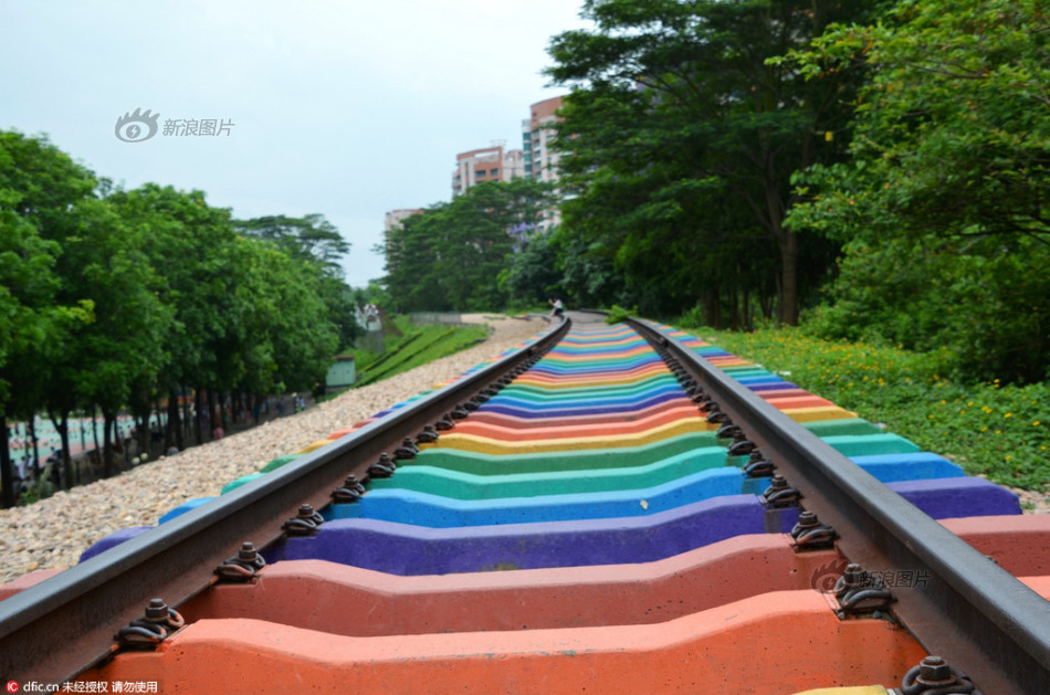 东莞彩虹路轨被赞小清新