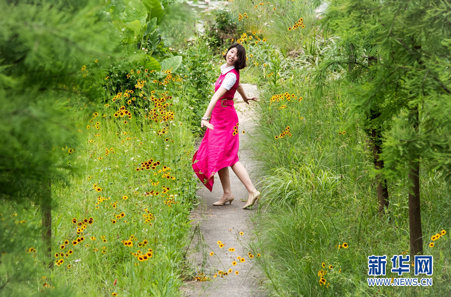 广州大观湿地公园将在6月底正式对外开放