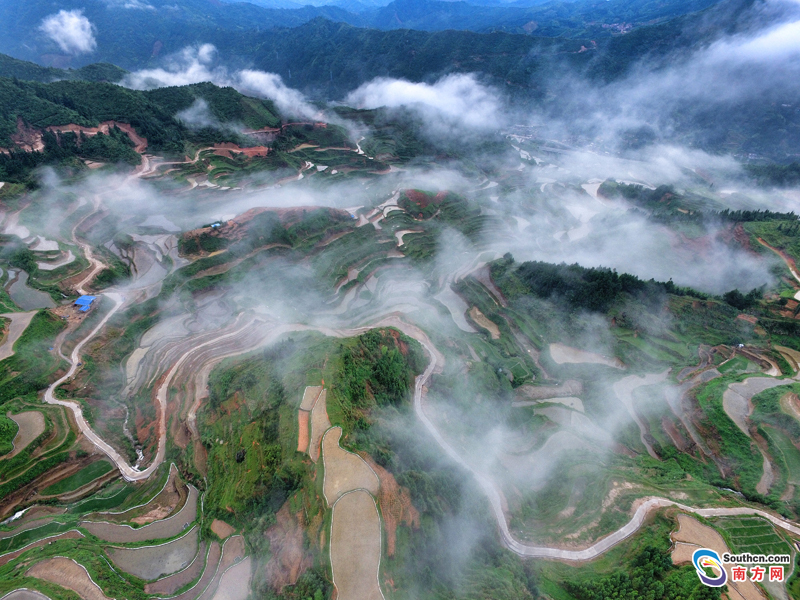 【图集】清远连南举办 芒种 瑶排梯田文化节