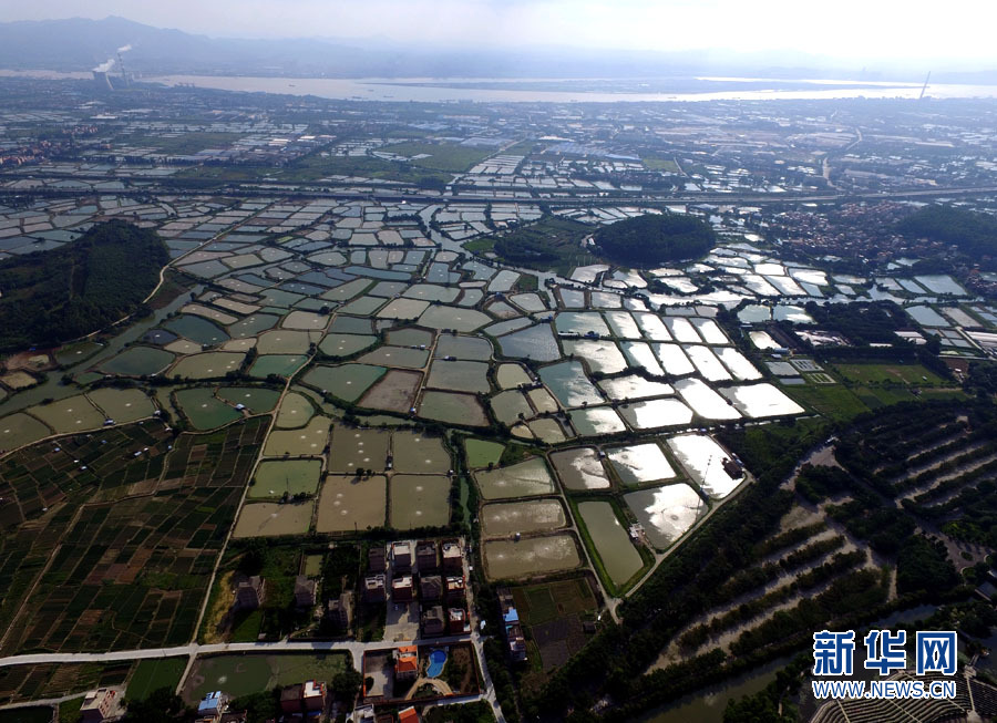 西樵山麓桑基鱼塘 打造良性循环典范