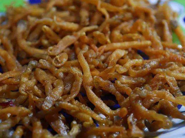 食虫族大起底,有什么是广东人的胃hold不住