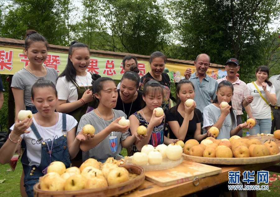 连州水晶梨节开幕 上演夏日水果总动员