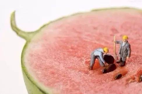 无籽西瓜是用避孕药处理的?事实却是这样的