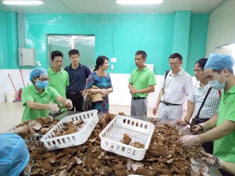 汕尾市经济和信息化局携专家考察陆河重信生物