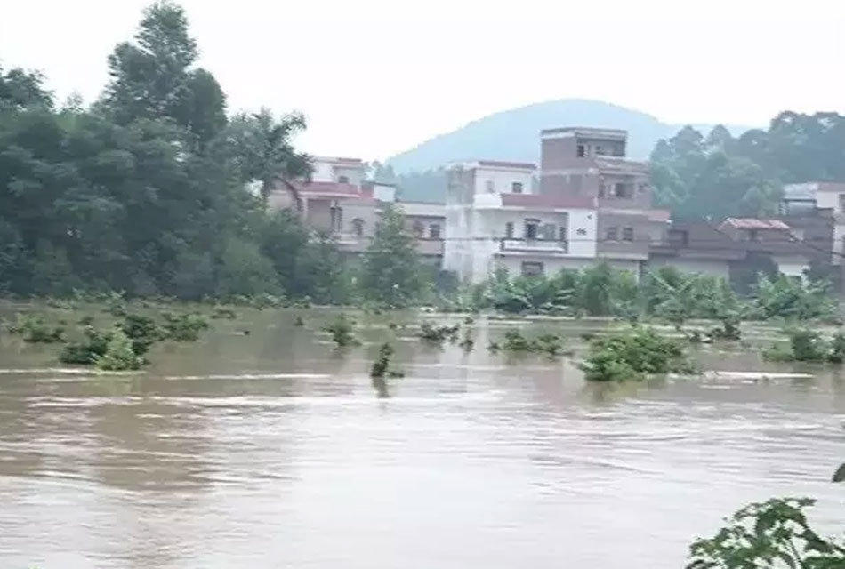 广东暴雨汛情:肇庆一村庄遭洪水突袭 54人获救