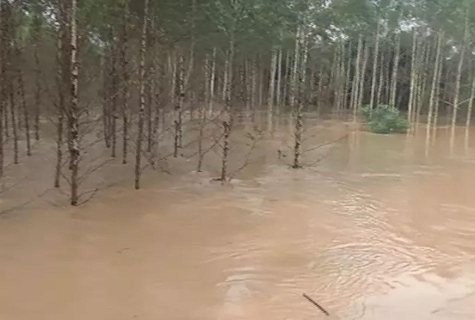广东暴雨汛情:肇庆一村庄遭洪水突袭 54人获救