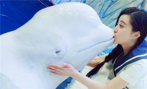 范冰冰献吻白鲸 网友:动物都不能抵挡的魅力