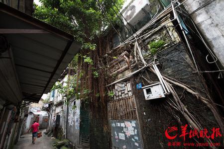 探访深圳500年古村湖贝旧村:潮汕人为主 房租