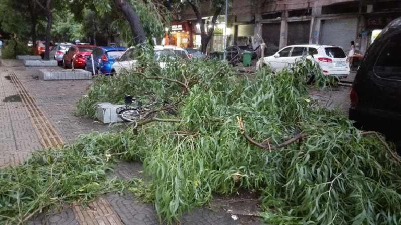 组图:台风妮妲来袭 广州遭遇雷雨天气