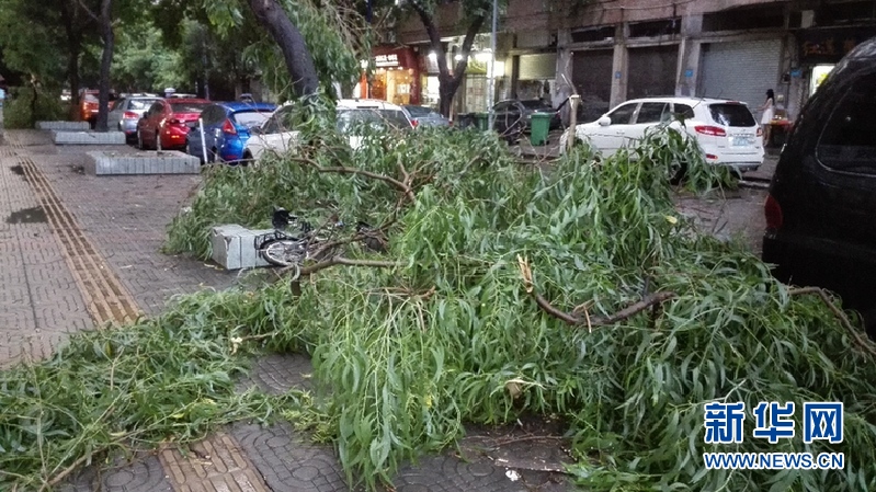 组图:台风妮妲来袭 广州遭遇雷雨天气