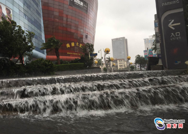 深圳风势猛劲连根拔起大树 路人大喊加工资(