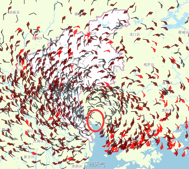 台风妮妲中心进入广州 风速和气压明显下降