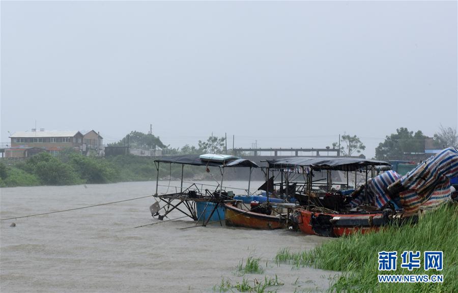 强台风妮妲影响下的 广东 市民风雨中出行