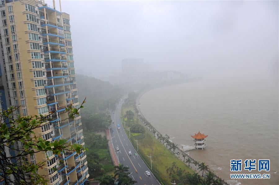 强台风妮妲影响下的 广东 市民风雨中出行