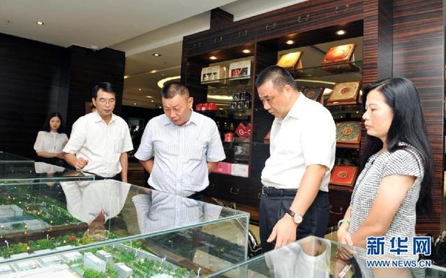 重庆市化医集团董事长王平一行到访康美药业