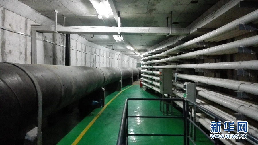 广东自贸区:严守 生态线 让绿色成 主色调