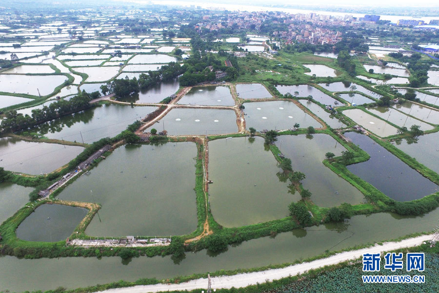 【秋季美丽生态报道】古镇古风 水乡清韵 航