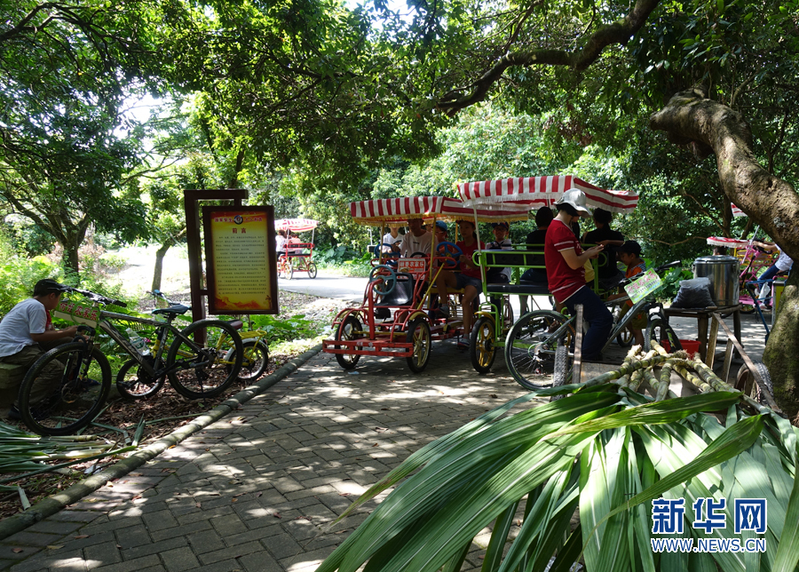 国庆好去处:广州增城莲塘村体验绿道骑行