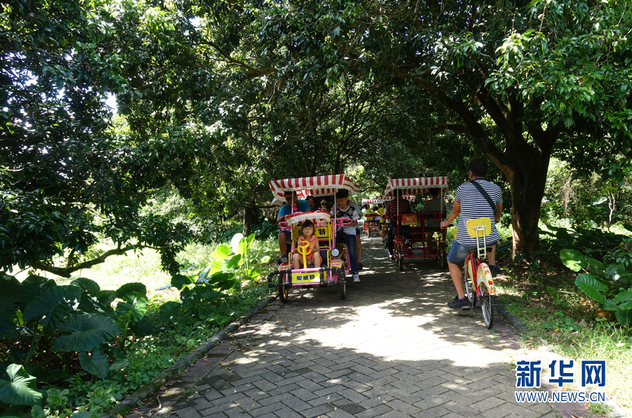 国庆好去处:广州增城莲塘村体验绿道骑行
