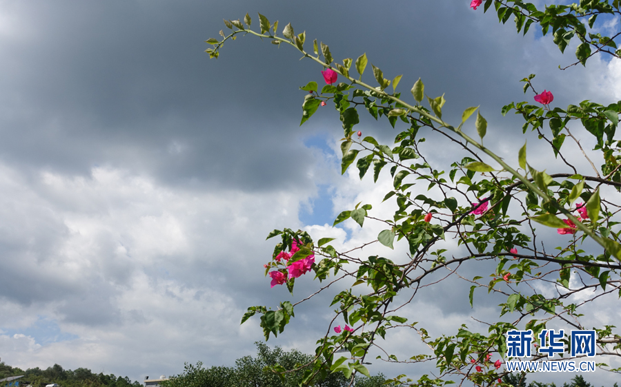 国庆好去处:广州增城莲塘村体验绿道骑行