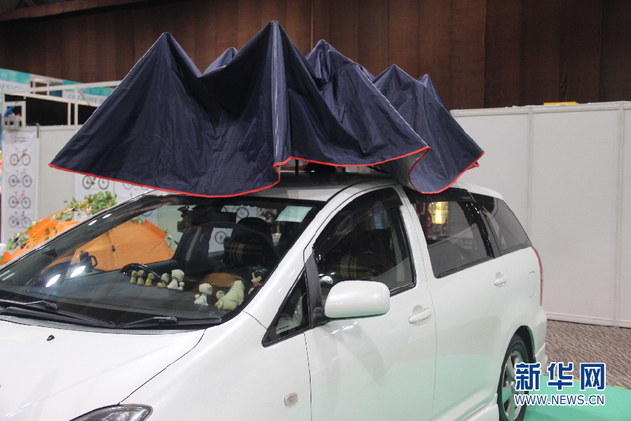 植物蛋、变色画、折叠电动车…这些脑洞大开的