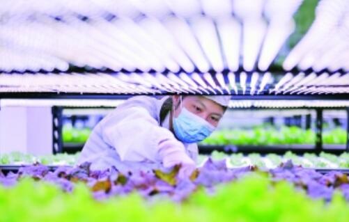 跨界务农:工业资本上山下乡 开辟新蓝海