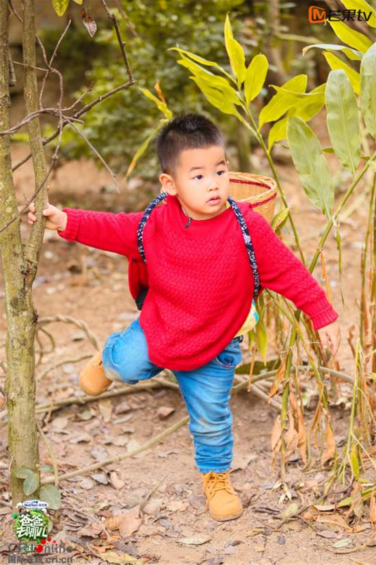 《爸爸4》沙溢儿子小鱼儿抢眼 吃饭也能睡著