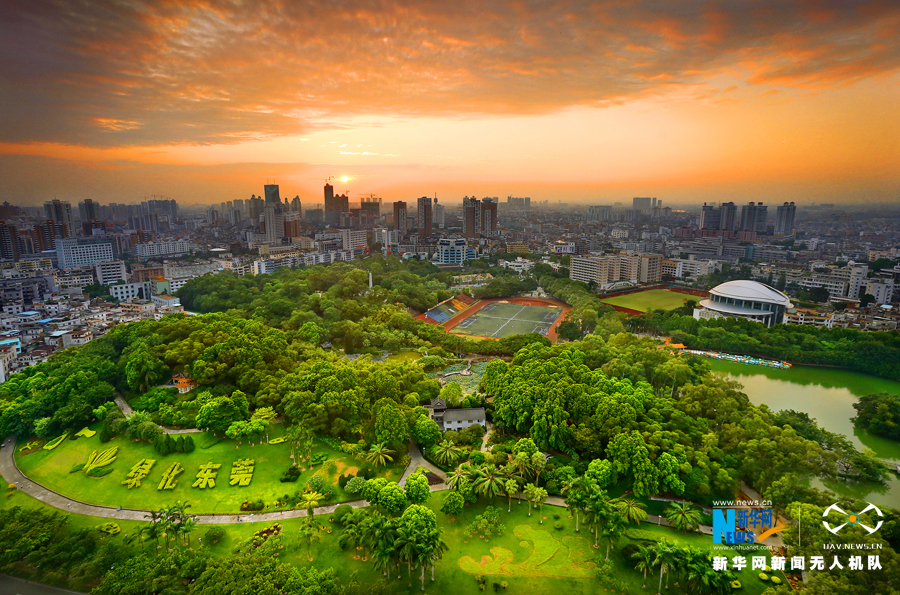 【美丽生态】世界工厂原来是绿的 航拍国家森