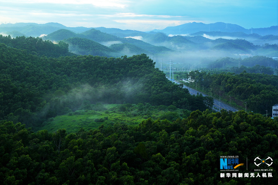 【美丽生态】世界工厂原来是绿的 航拍国家森