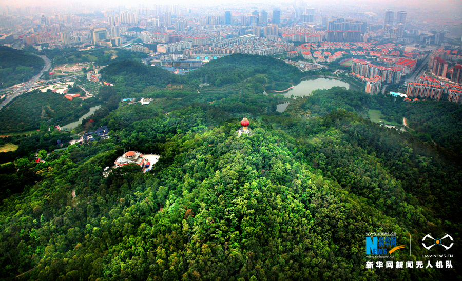 【美丽生态】世界工厂原来是绿的 航拍国家森