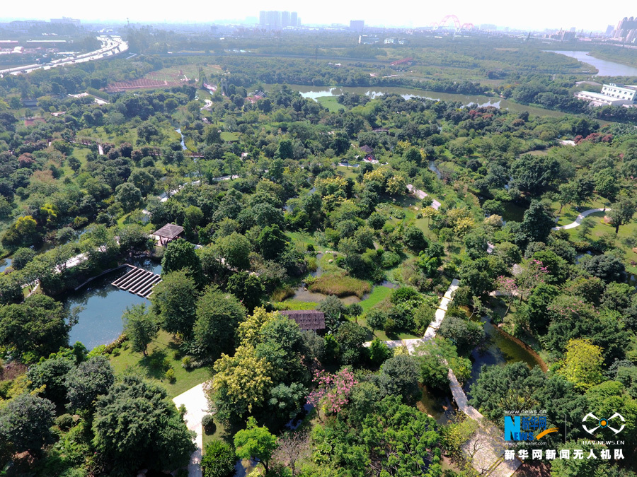 航拍广州之肾 看海珠湿地秋色怡人