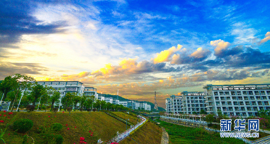 仲恺农业工程学院:培养应用型人才服务 三农