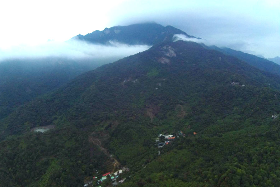【美丽生态】冬日广东五市绿如春 山河湖海生