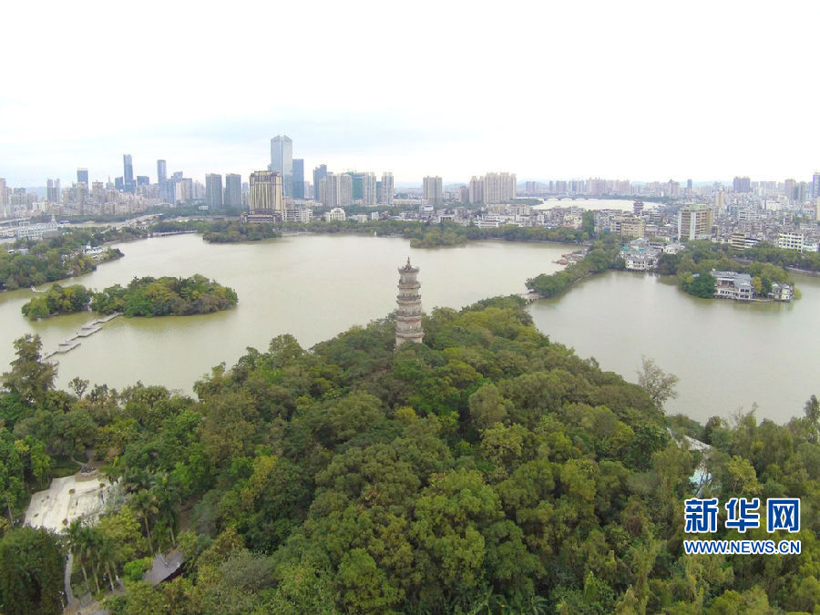 【美丽生态】冬日广东五市绿如春 山河湖海生