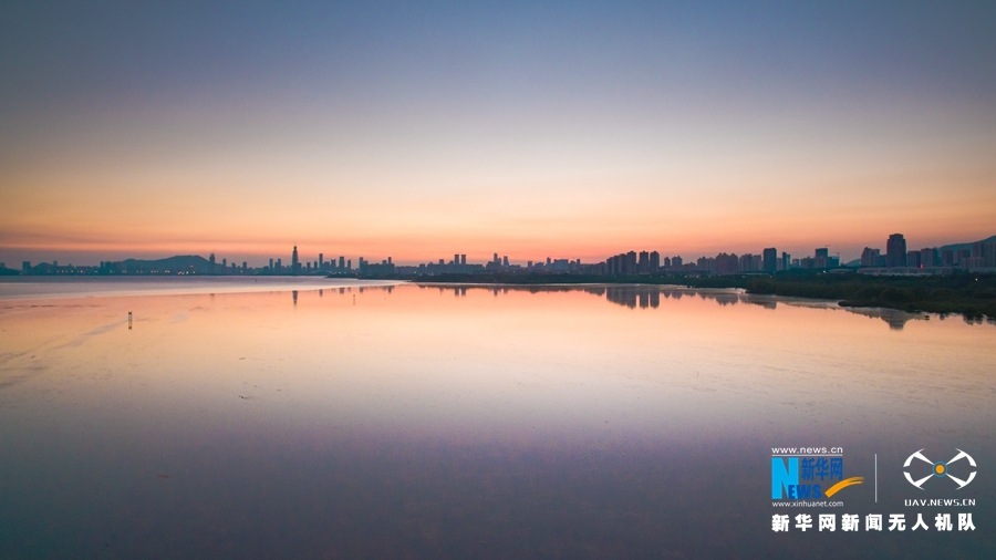 航拍深圳红树林鸟类自然保护区 水天一色