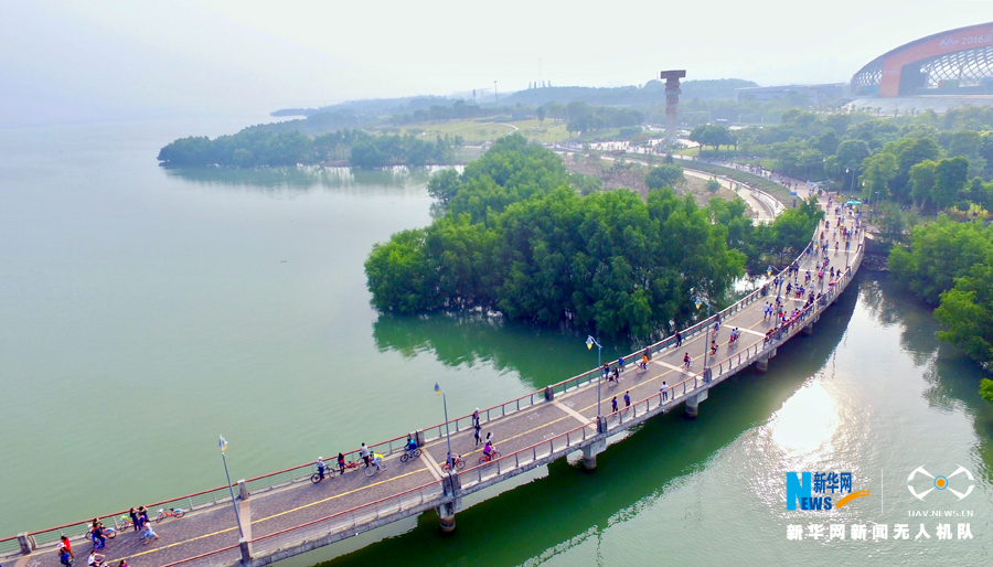 航拍深圳南山生态景观走廊--大沙河