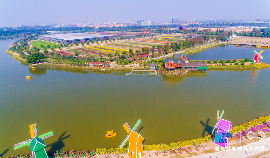 航拍佛山梦里水乡百花园 五彩花海争艳怒放