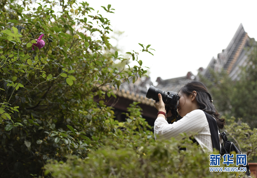 【春意盎然看广东】小洲村:水乡春色浓