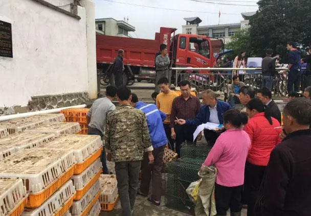 韶关市仁化县实施特色种养产业扶贫工程引导贫