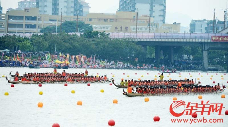 番禺市桥水道百条龙舟竞渡竞艳 现场气氛火辣