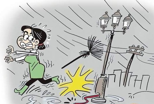 台风 苗柏 即将登陆 快收好这份应急指南!