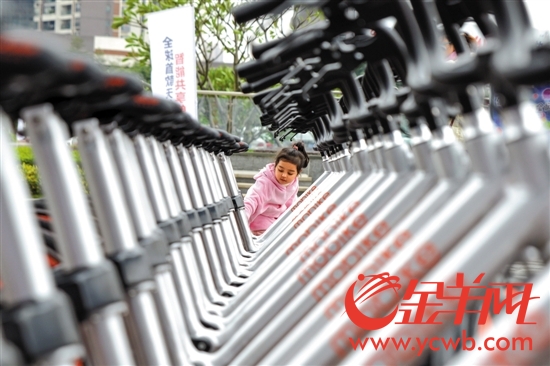 广州共享单车新政征求意见 明确政企市民权责