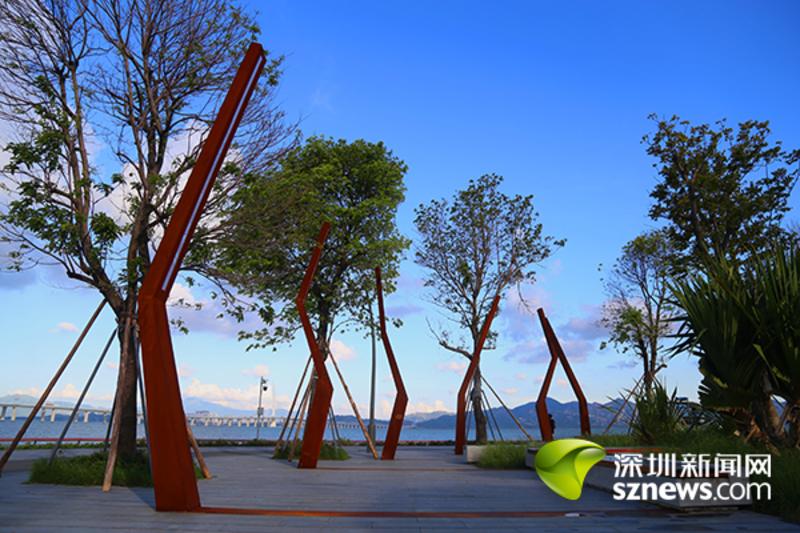 滨海休闲带西段正式开放 6.6公里再添市民亲海