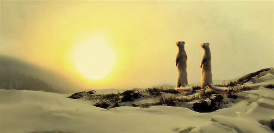 阮经天被黄鼠狼抢了风头