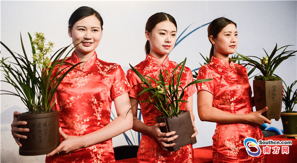 第28届中国兰花博览会明年将在广东翁源举办