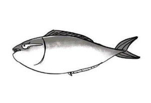 广东话百科:咸鱼翻生(咸鱼翻生是什么意思?)