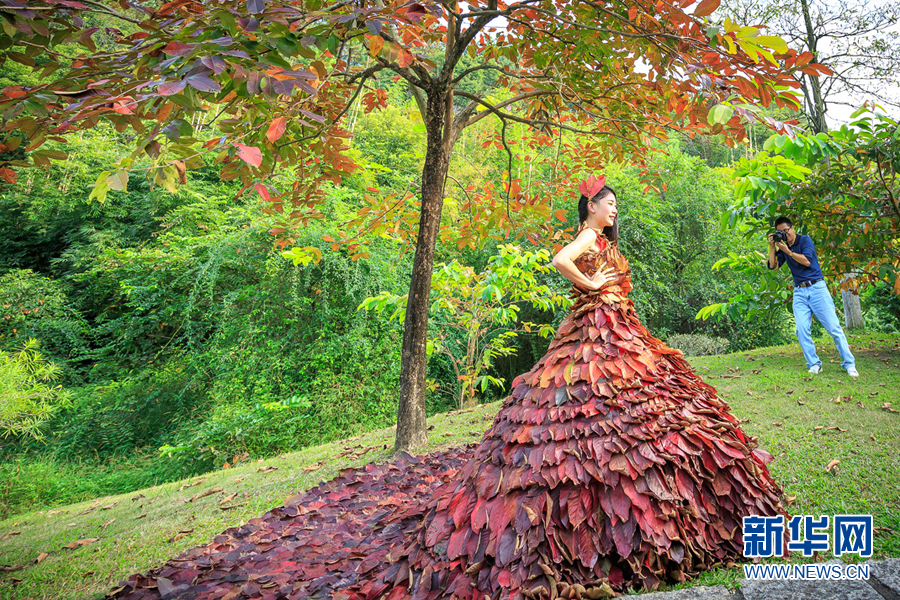树叶时装秀